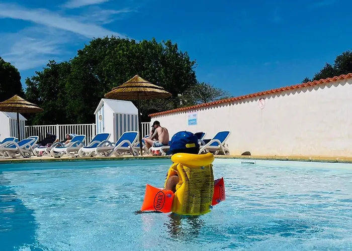 Mobil Avec Terrasse Pour 6 Personnes à Dolus-d'oléron - Api-1-52-1441