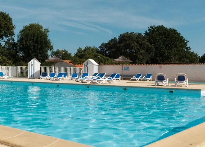 Mobil Avec Terrasse Pour 6 Personnes à Dolus-d'oléron - Api-1-52-1441 Dolus d'Oléron