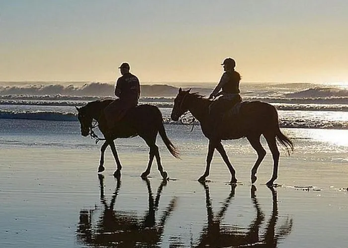 Mobil Avec Terrasse Pour 6 Personnes à Dolus-d'oléron - Api-1-52-1441 *
